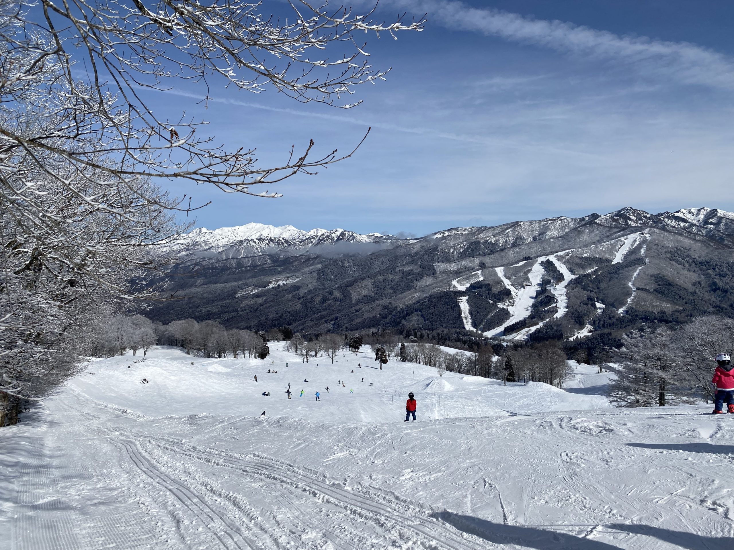 スノーウェーブパーク白鳥高原 日本一長いソリコーススタート地点
