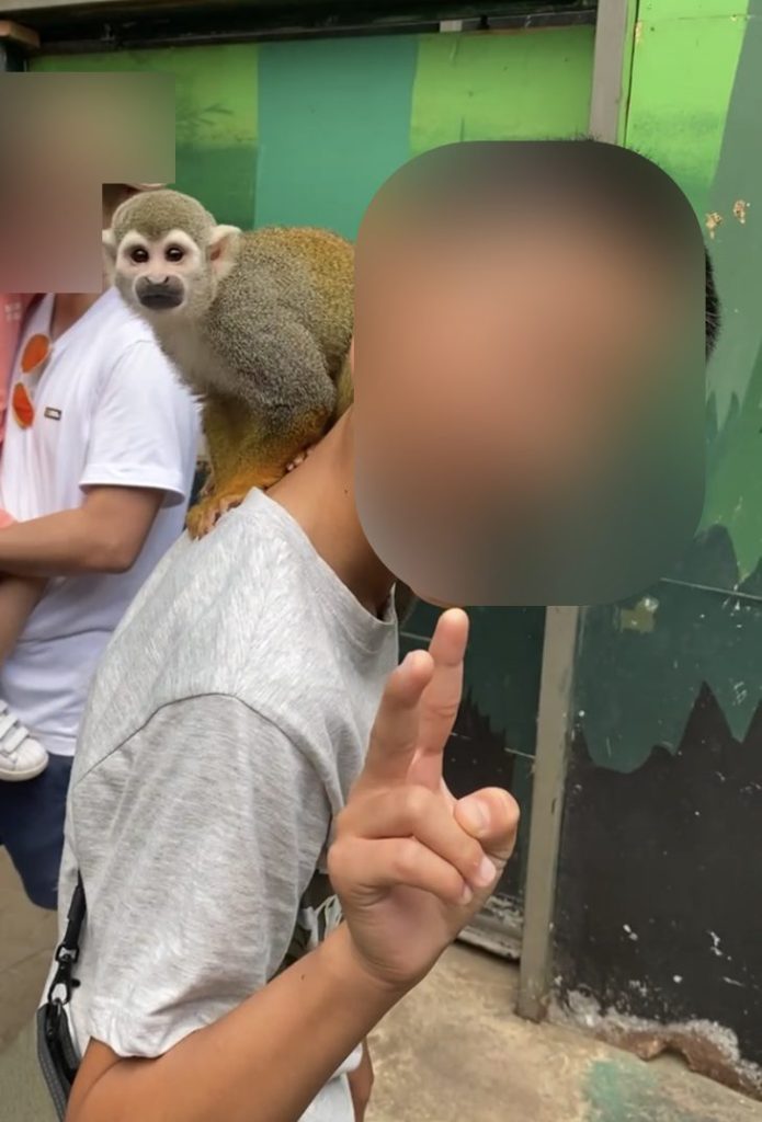 ノースサファリサッポロ園内 肩に乗ったリスザル