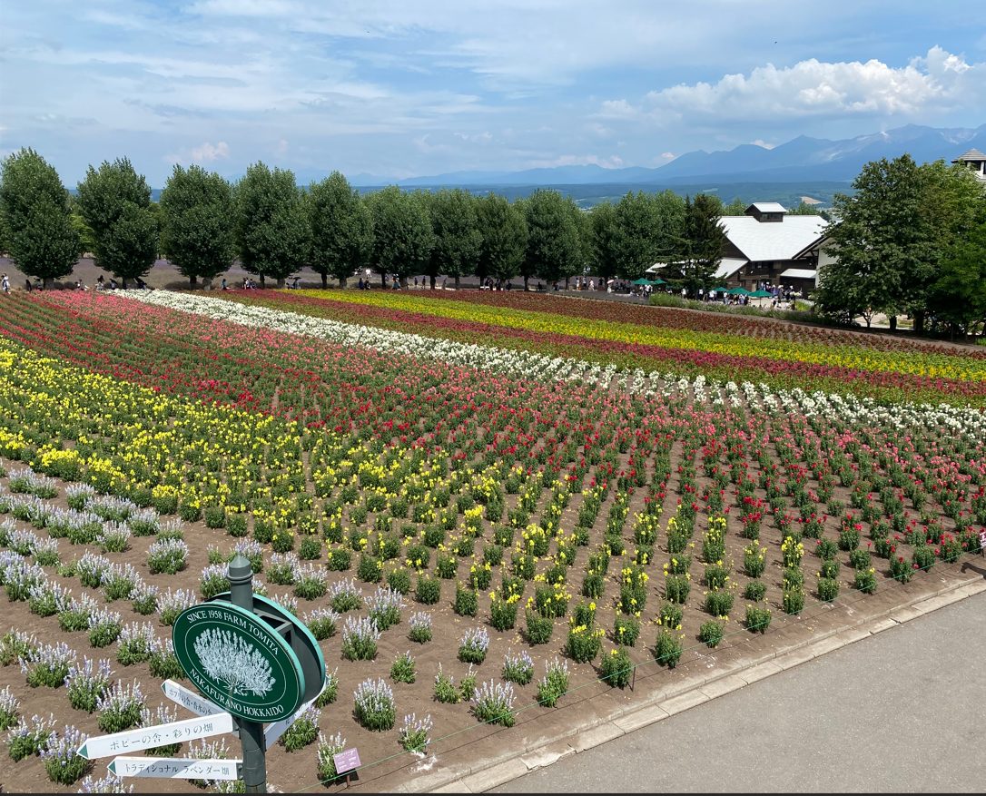 富良野ファーム富田"花人の畑"