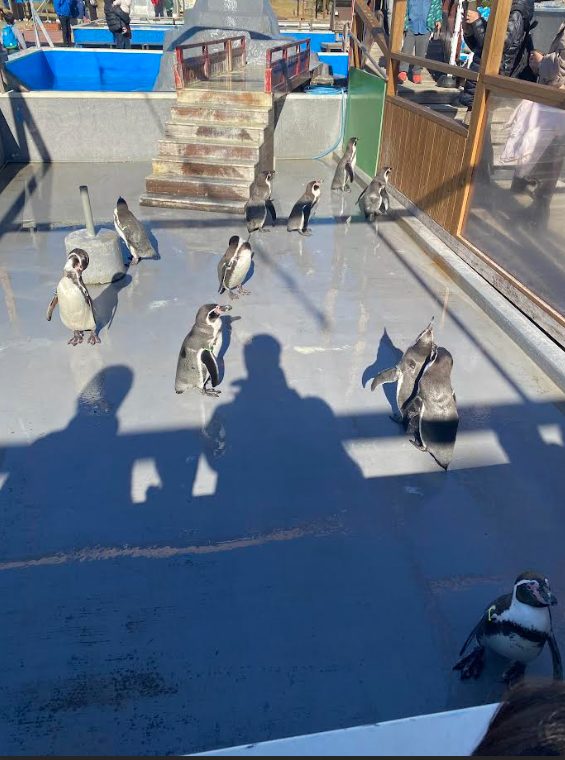 南知多ビーチランドの