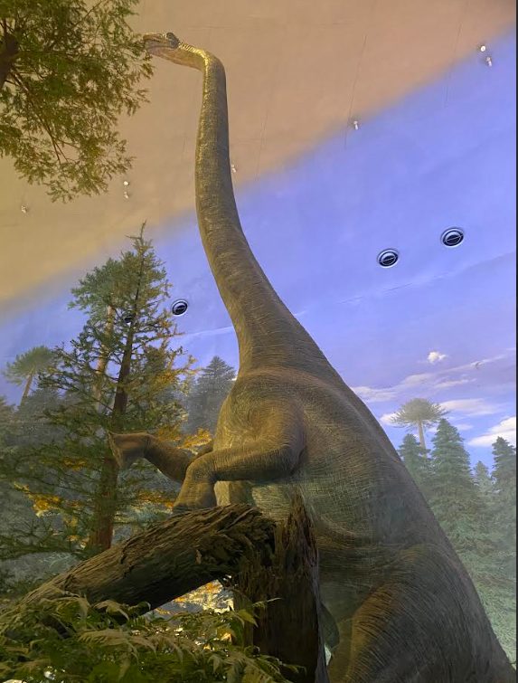 福井県立恐竜博物館　ブラキオサウルスのオブジェ